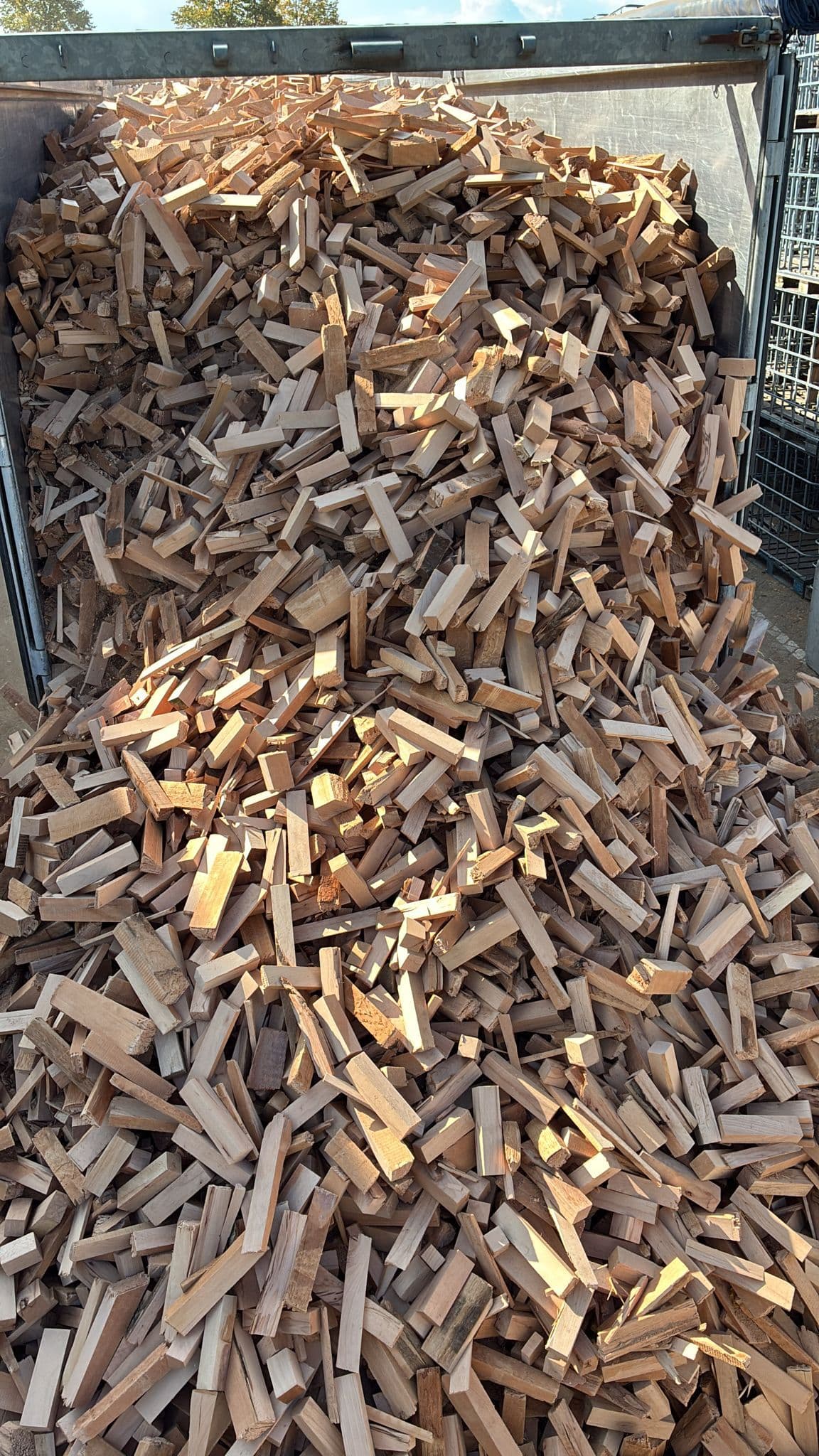 OP=OP: 1m3 Ovendroog Beuk – 20/25cm blokjes